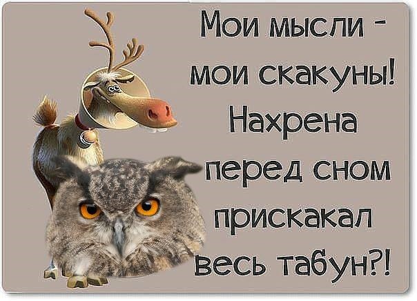 МОИ МЫСЛИ МОИ СКАКУНЫ MP3 СКАЧАТЬ БЕСПЛАТНО МОИ МЫСЛИ МОИ СКАКУНЫ MP3 СКАЧАТЬ БЕСПЛАТНО
