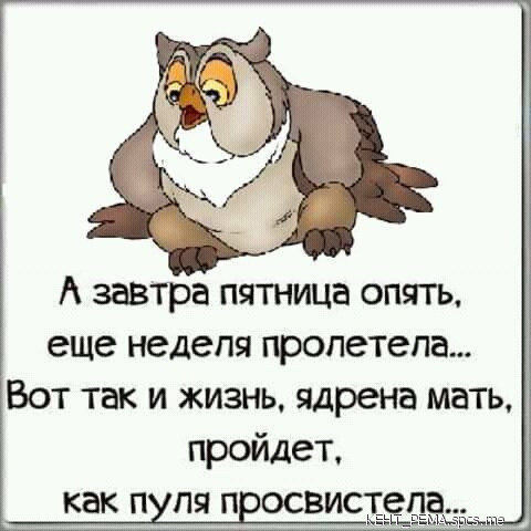 Картинки совесть, картинки завтра пятница ура