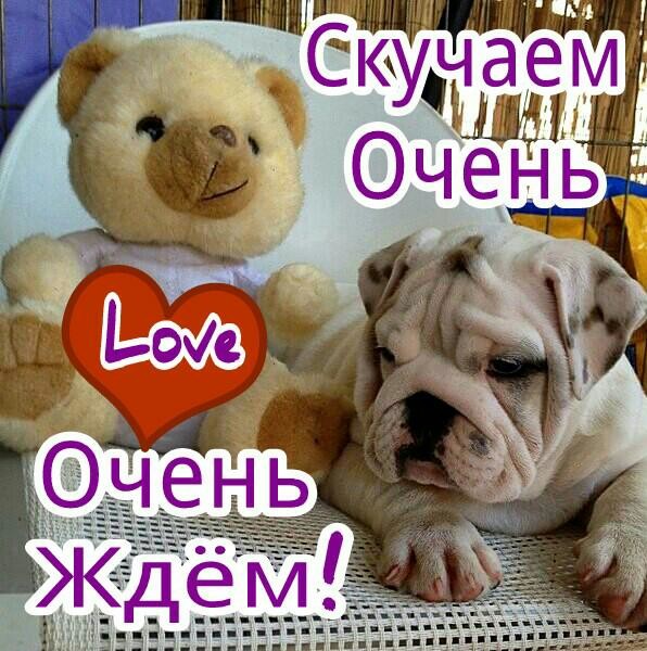 Шикарная, открытки скучаем по вам