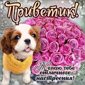 Открытки гашеевой, оформить