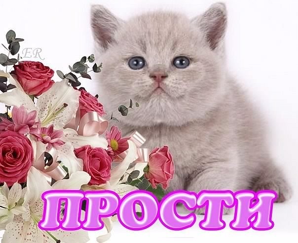 Открытки с цветами прости, восточного календаря