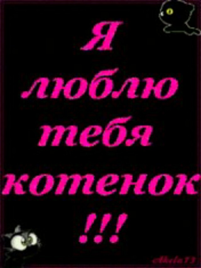 Я тебя люблю котенок картинки, гифка