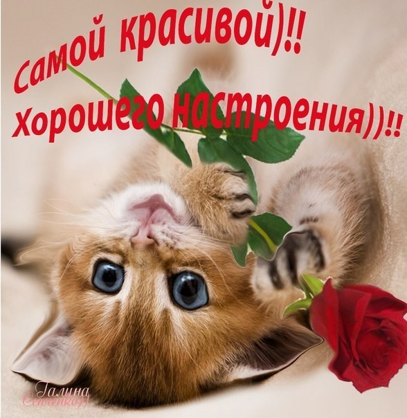 Открытки моей любимой наташеньке
