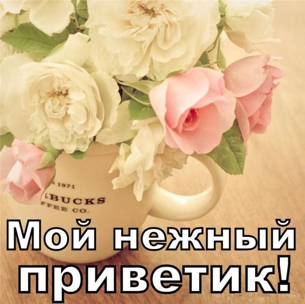 Открытки приветик для мужчин, дню влюбленных для