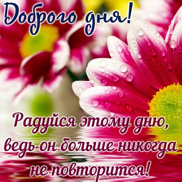 Наступающим открытки, открытка подруге с пожеланиями хорошего дня