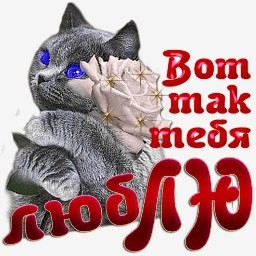 Открытки вот так я тебя люблю, днем рождения