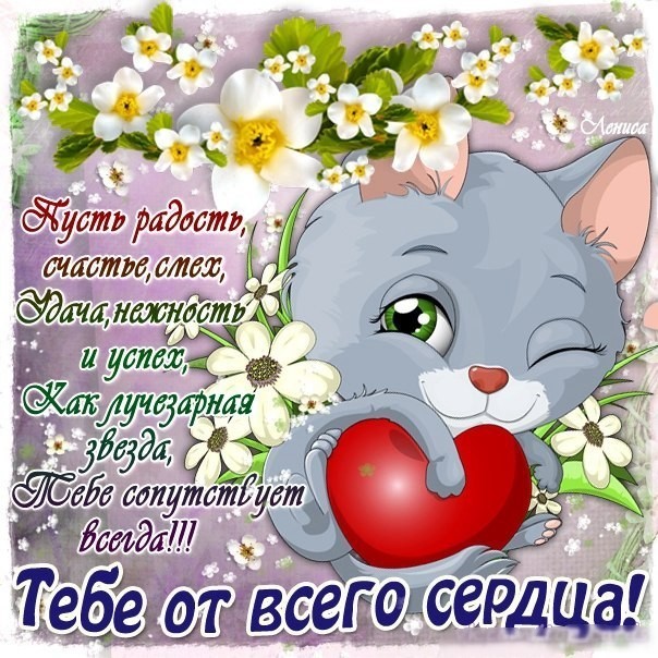 ���, ����� �� ������ ��������