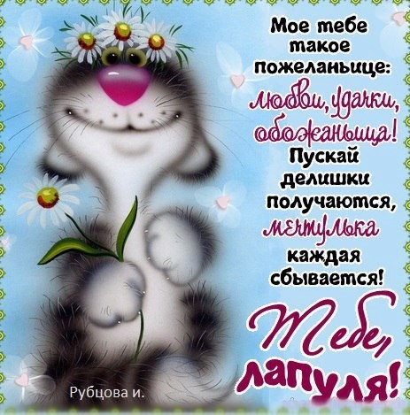 Открытка лапуся моя, картинки курами ягода