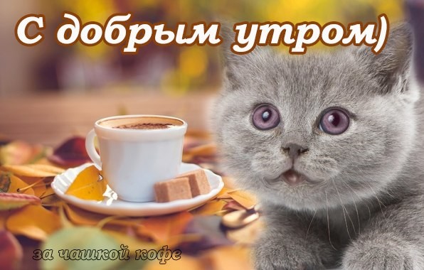 Картинка для светланы с добрым утром, приглашение чай случаю