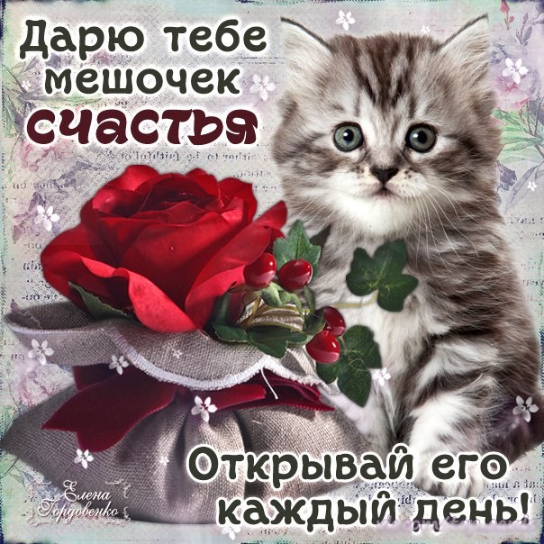 Картинки дарю тебе счастье